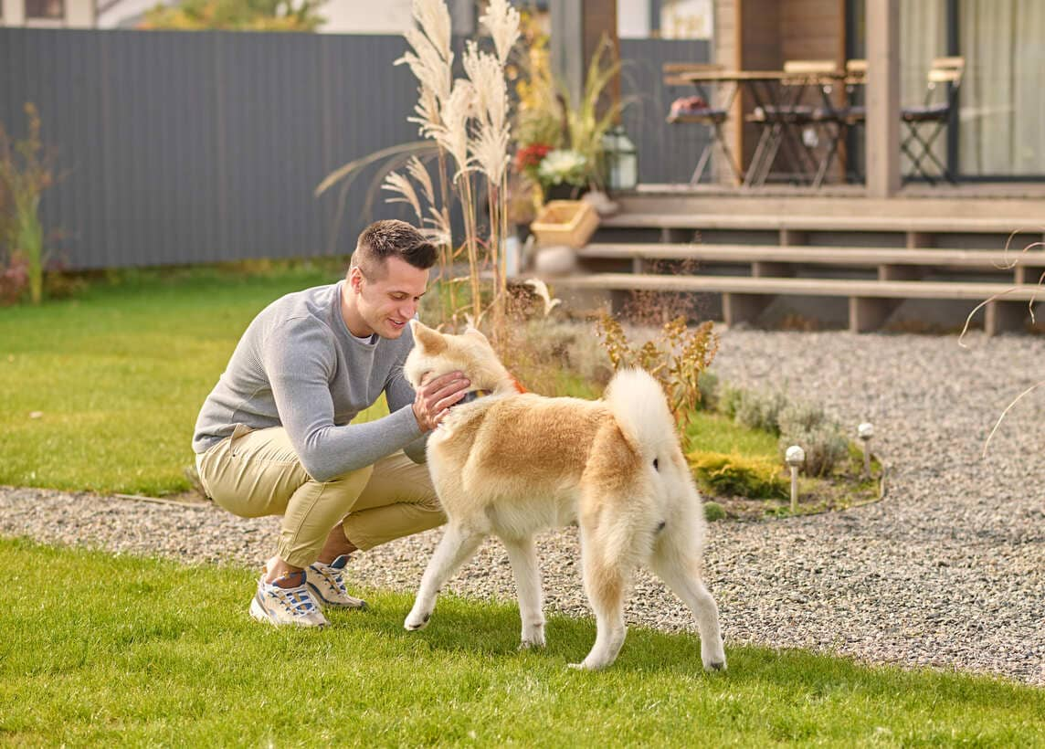 Hondenvakantie met omheinde tuin – vrij rondrennende honden