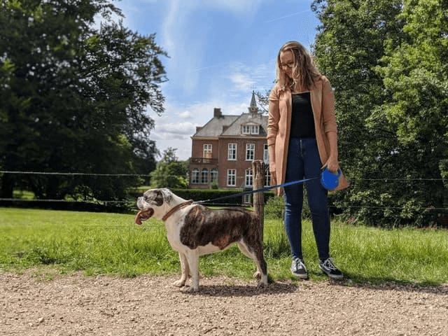 Hondenuitlaatservice Ede — Doggy Time