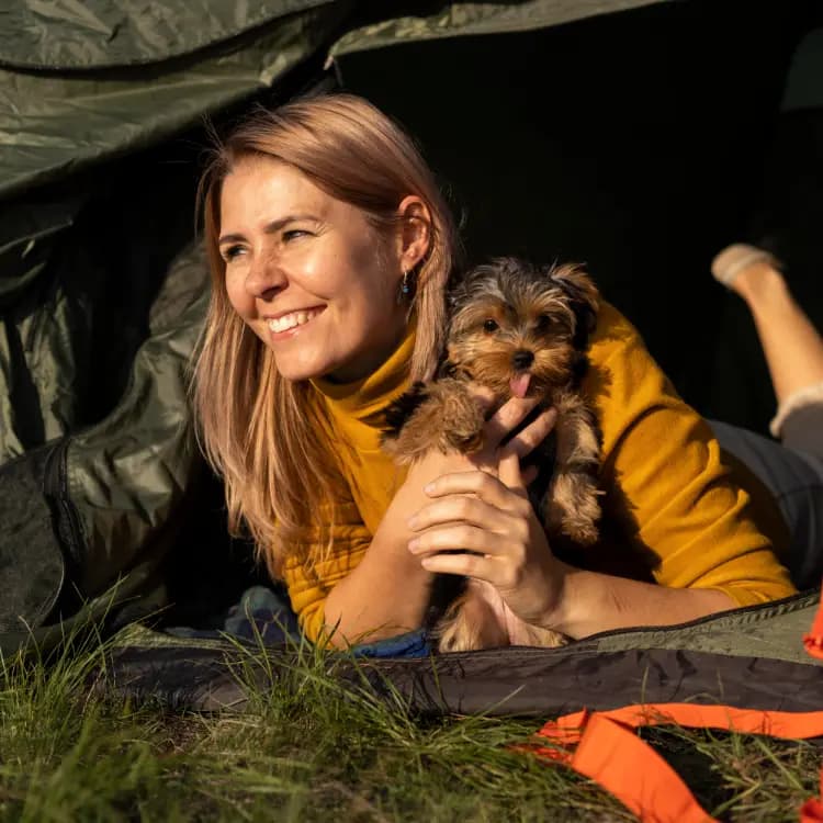 Honden kamperen op een camping